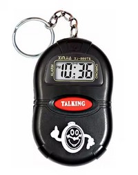 Talking Keychain